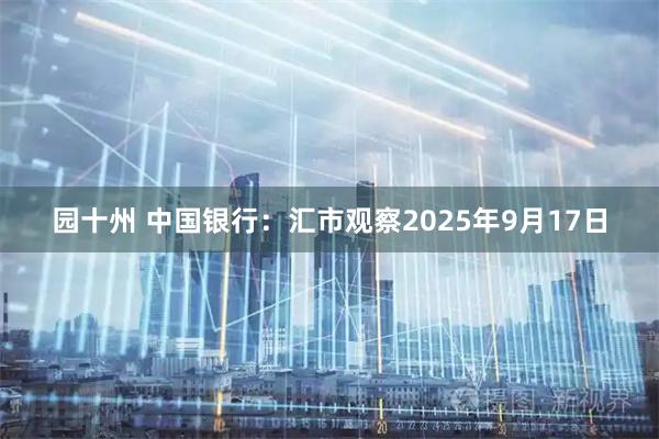 园十州 中国银行：汇市观察2025年9月17日