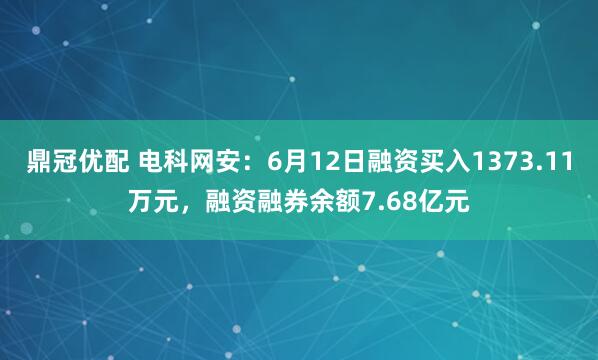 鼎冠优配 电科网安：6月12日融资买入1373.11万元，融资融券余额7.68亿元